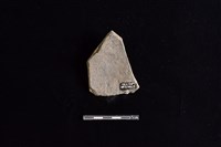 陶片藏品圖，第2張